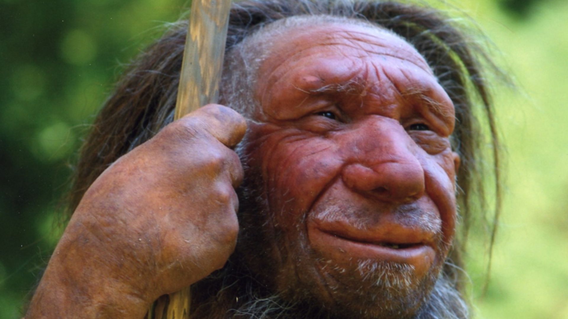New fossil discovery has scientists completely reversing their beliefs ...