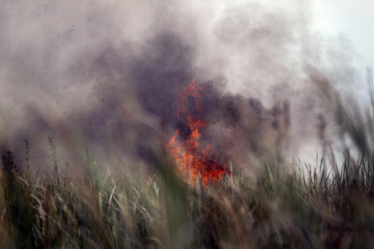 Everglades fire crisis: 4,800+ acres scorch Broward-Miami line