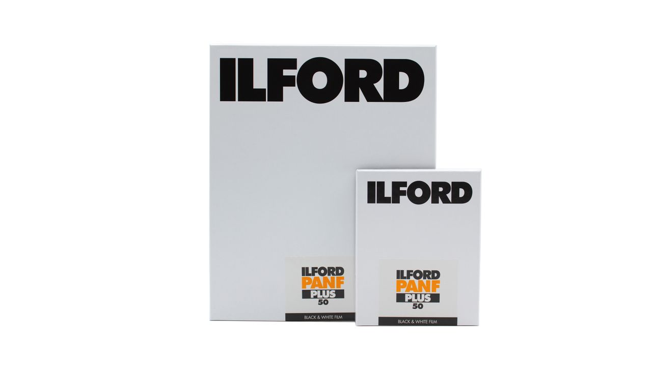 Ilford just gave large-format photographers the black-and-white film ...