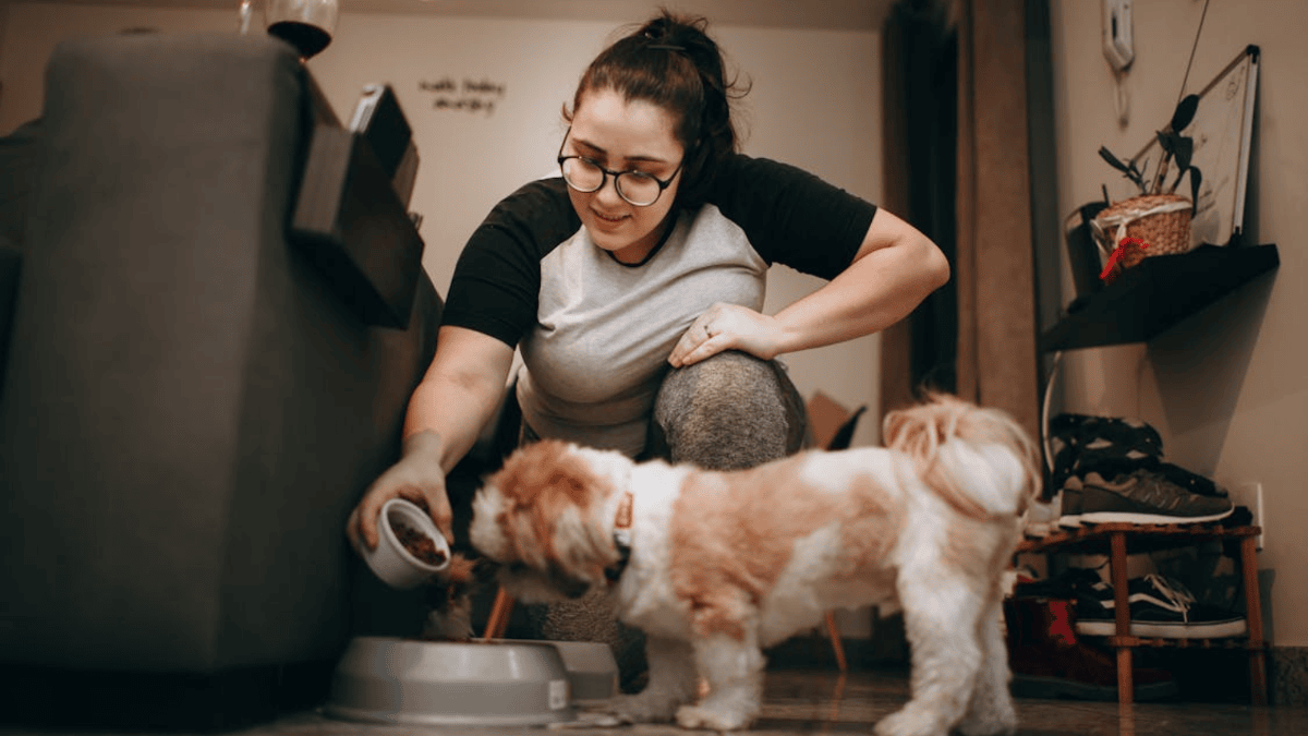 A closer look at Feeding Requirements For Pet Snakes With Hyperglycemia