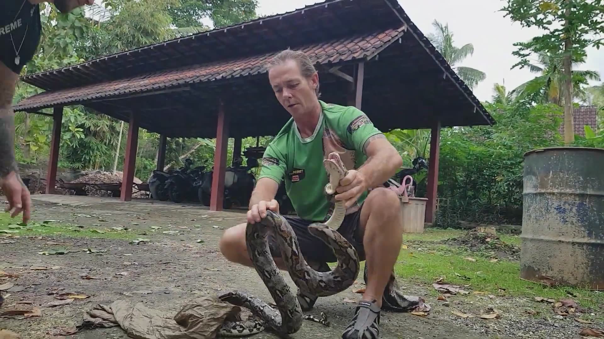 Witnessing aggressive python encounters in the wild