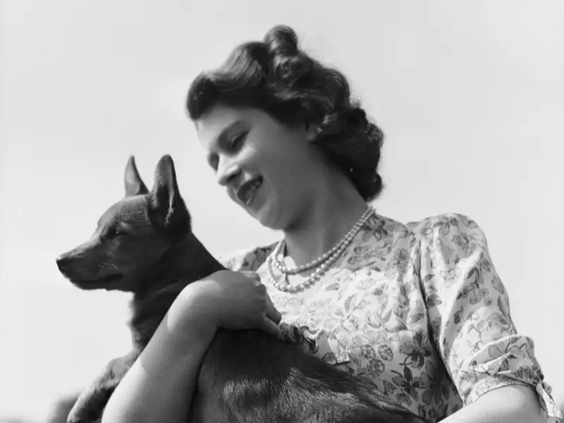 25 adorable and crazy royal pets in history
