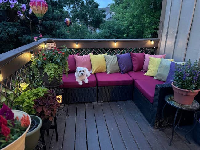 Cozy patio with colorful cushions on a wicker sofa, potted plants, and a small dog resting. Hot air balloons float in the background sky