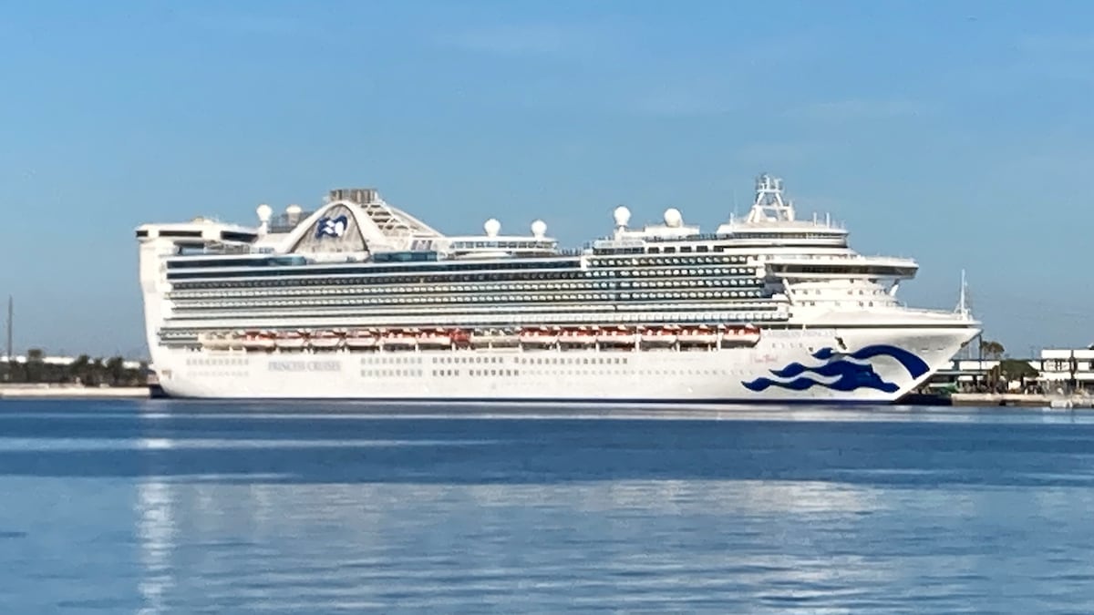 Princess Cruises ship with more than 100 sick from norovirus arrives in ...