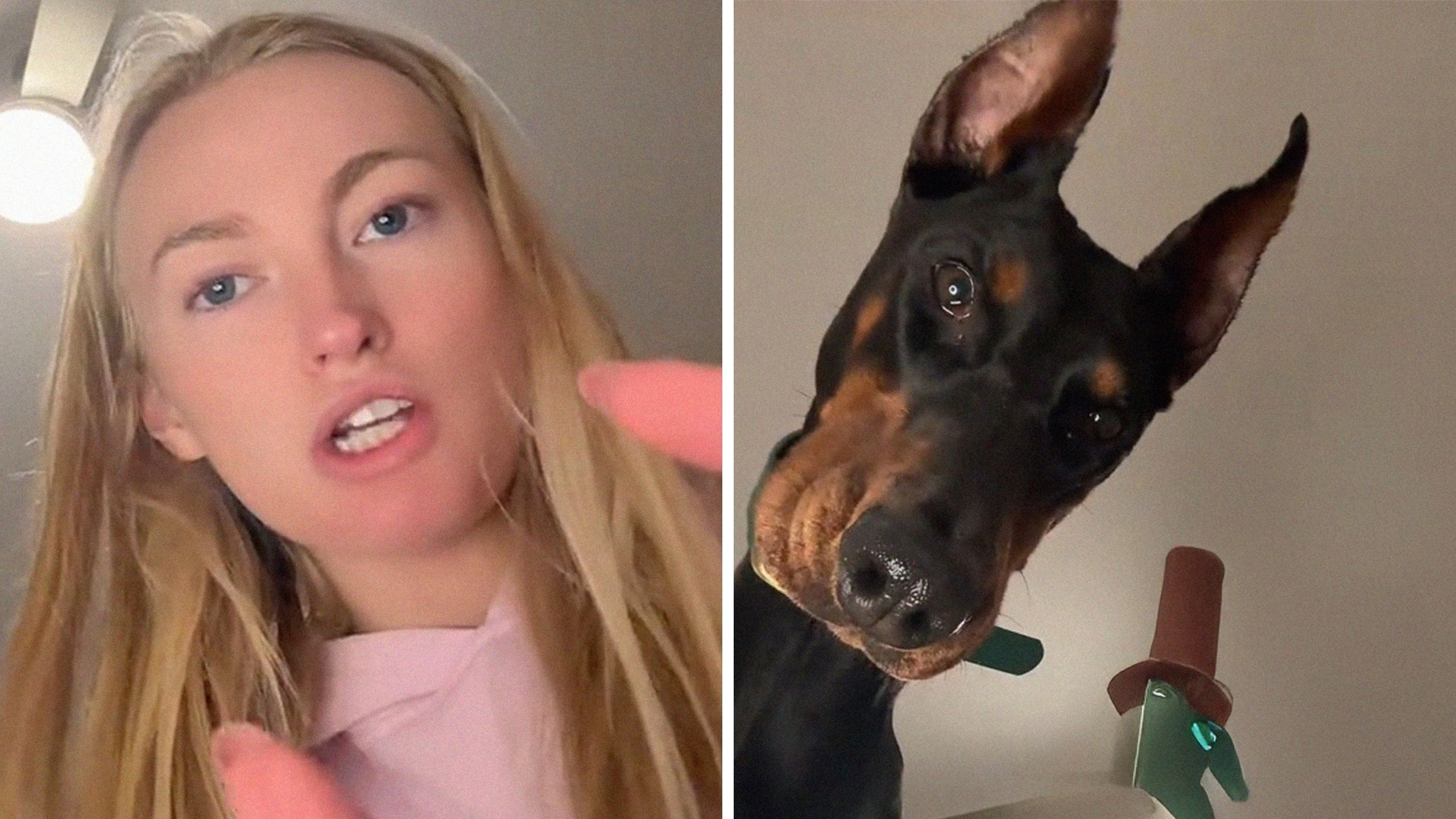 Nebraska woman gets called out for her Doberman's ears. Then she realizes the user who left the comment has a Doodle: 'That's so unethical'