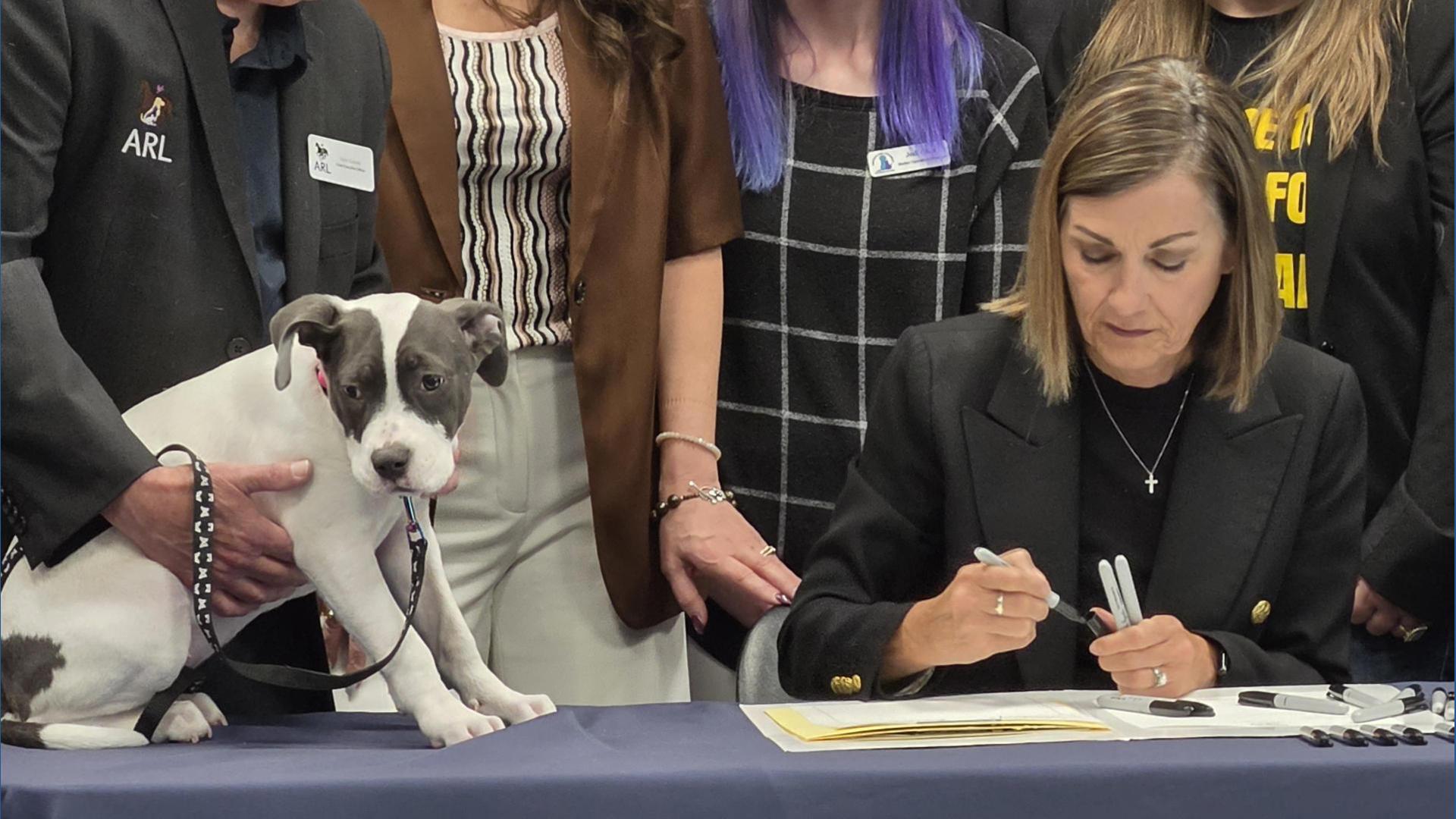 Full | Gov. Reynolds signs animal torture bill at Animal Rescue League