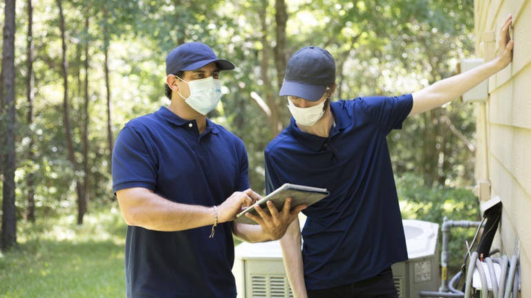 Warning signs of a roof rat problem (and crucial preventative measures ...