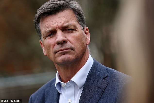 The Farrer election result was a blow to Coalition leader Angus Taylor (above) as its been a stronghold since 1949