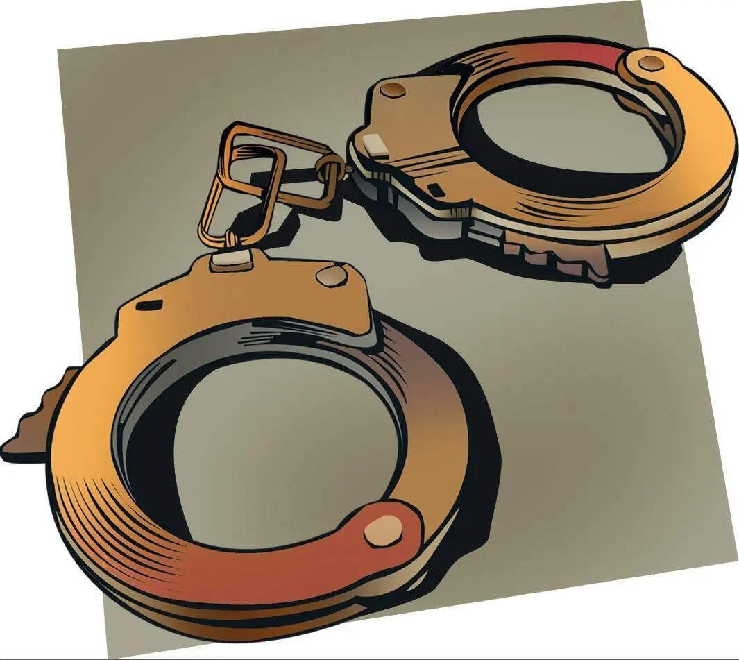 3 cyber fraud rackets busted; 6 held across multiple states