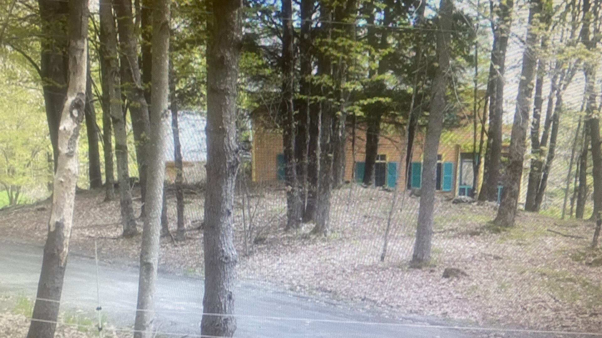 VT police identify woman found dead under potentially suspicious ...