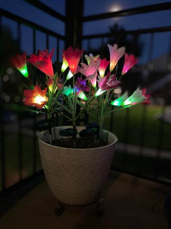 the led lights