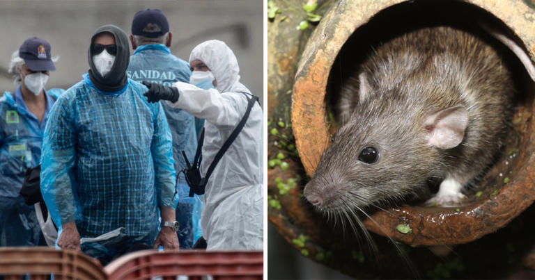 List of countries linked to deadly hantavirus as ‘patient zero ...