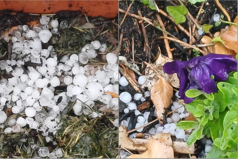 Grandinata sul lago d’Iseo e sulla Franciacorta, chicchi grossi come noci e auto danneggiate