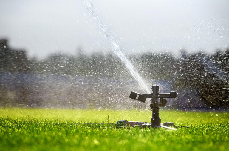 8 easy methods to get rid of weeds in your lawn that actually work