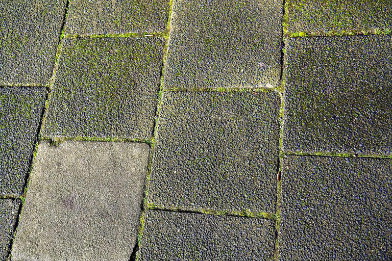 Patio slabs 'good as new' with 'no scrubbing' using 'magic' Wickes item ...