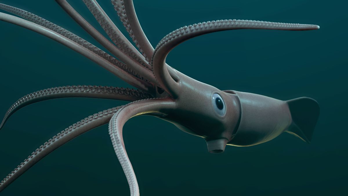 Good quality images of live giant squid are few and far between, so here's a 3D illustration instead. - Image credit: 3dsam79/Shutterstock.com
