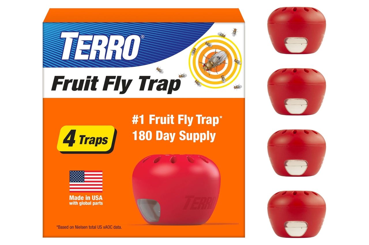 TERRO Fruit Fly Traps for Indoors (4 Pack) + 180 Days of Lure Supply - T2503SR - Lure and Kill Indoor Fruit Flies Near Fruit, Trash Cans, Countertops - Ready to Use Trap - 180 Day Supply