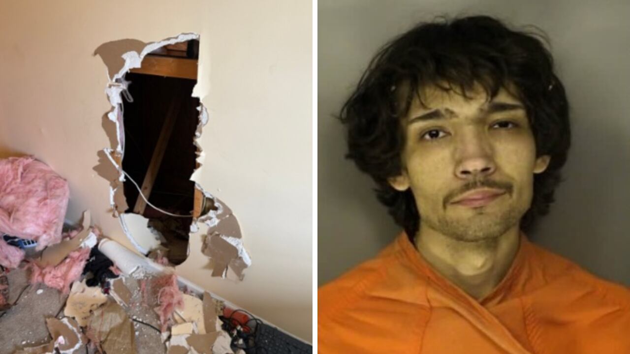 Wanted man found hiding under insulation inside Horry County home ...
