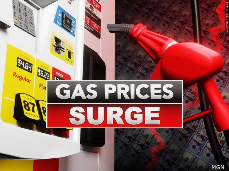 Fish prices increase with gas prices, demand
