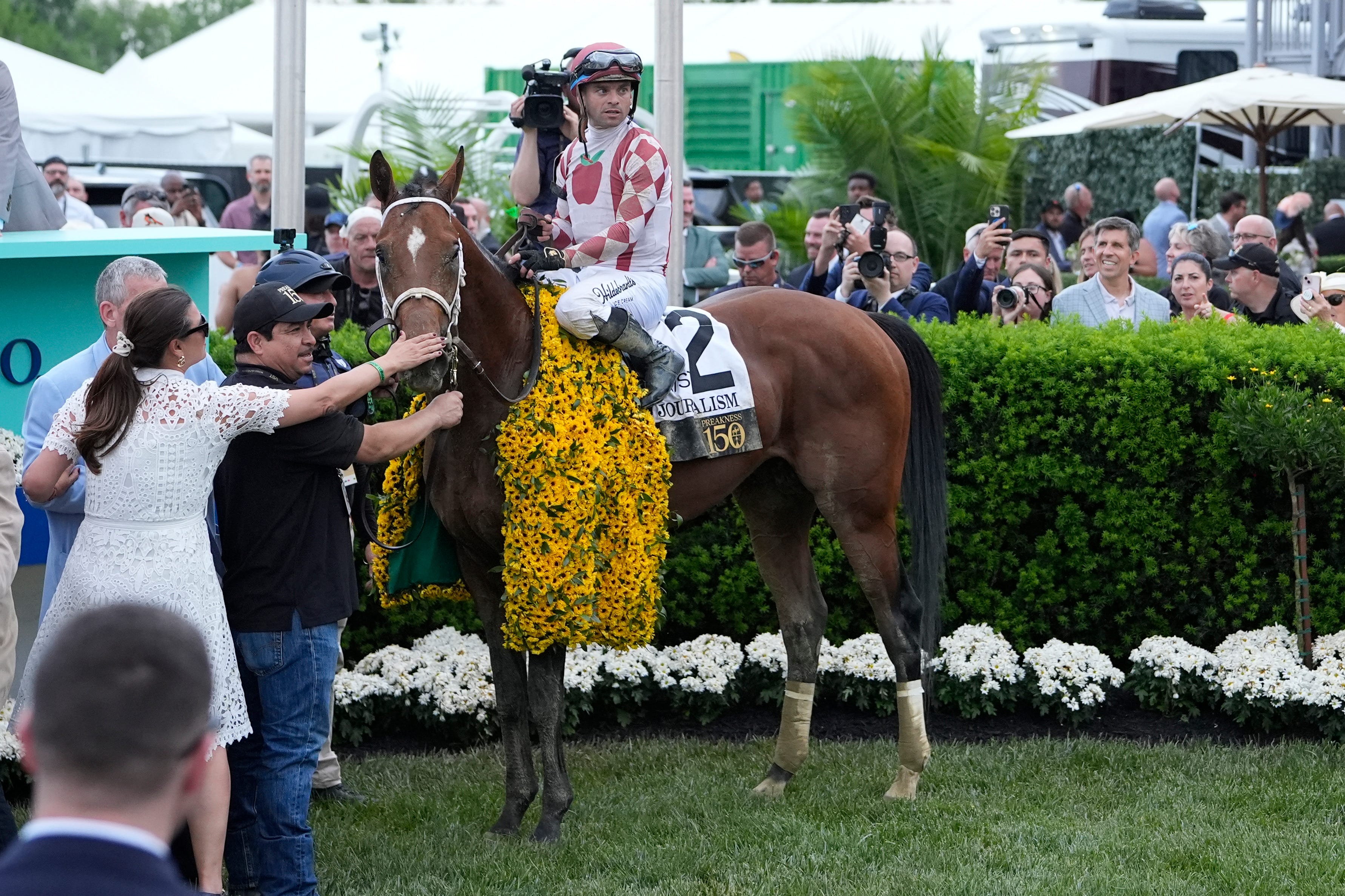 Preakness Stakes 2026: Which horses have best odds after post draw?