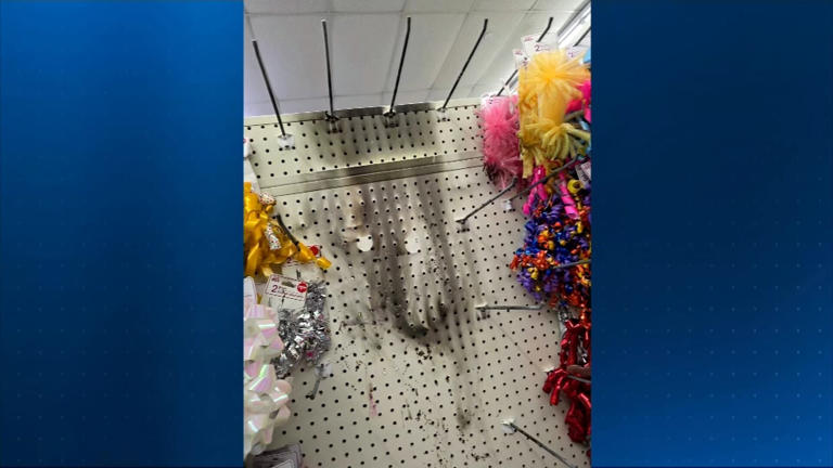 Investigators say fire set at local Dollar Tree was lit intentionally