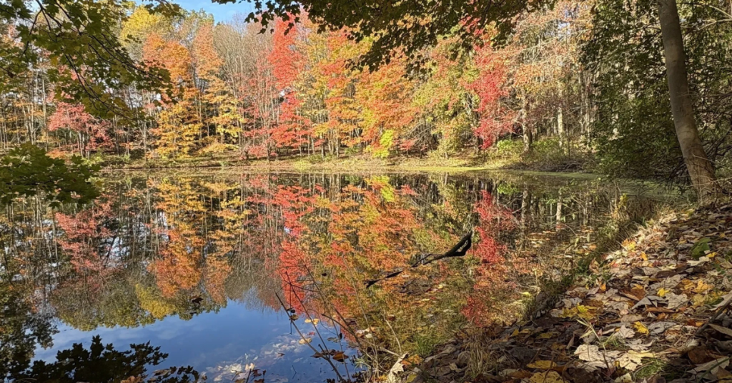 A view of Lake Wilhelm in Maurice K. Goddard State Park, surrounded by Pennsylvania fall foliage reflected on the water.