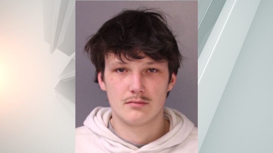 Man charged, stolen gun recovered by police