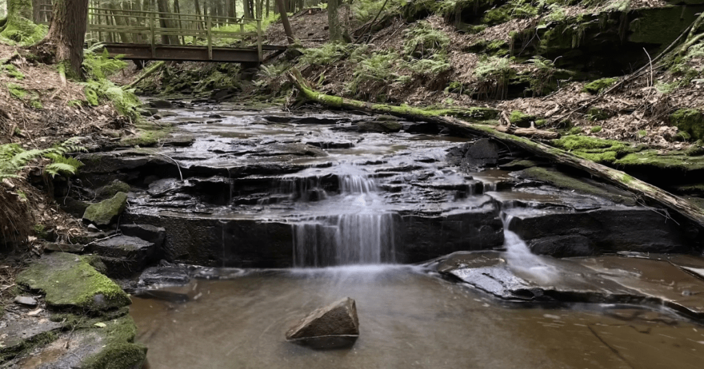 A small waterfall cascading down a brook on a nature trail in Maurice K. Goddard State Park in Pennsylvania.