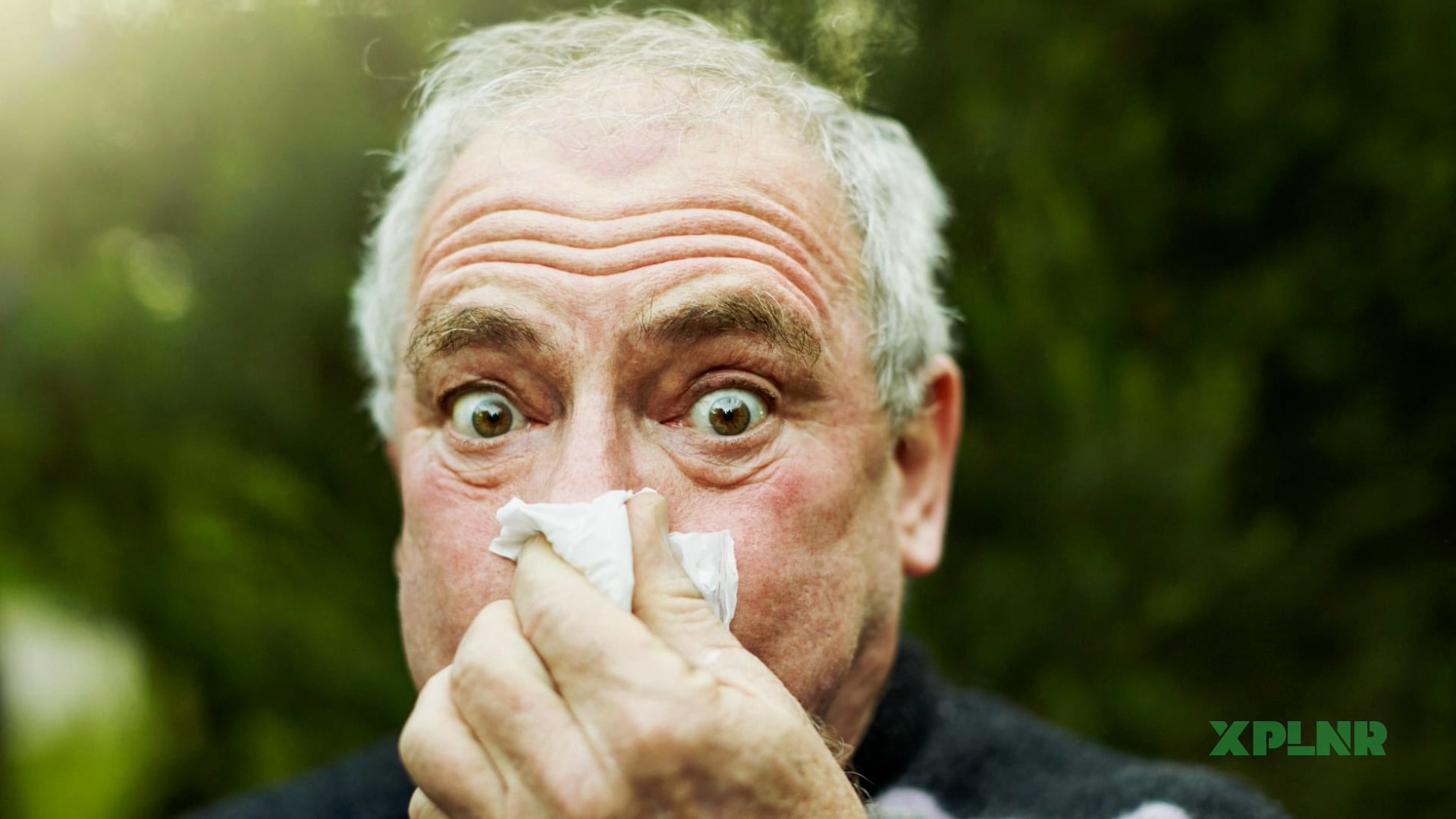 Is it bad to hold in a sneeze? What happens inside your body