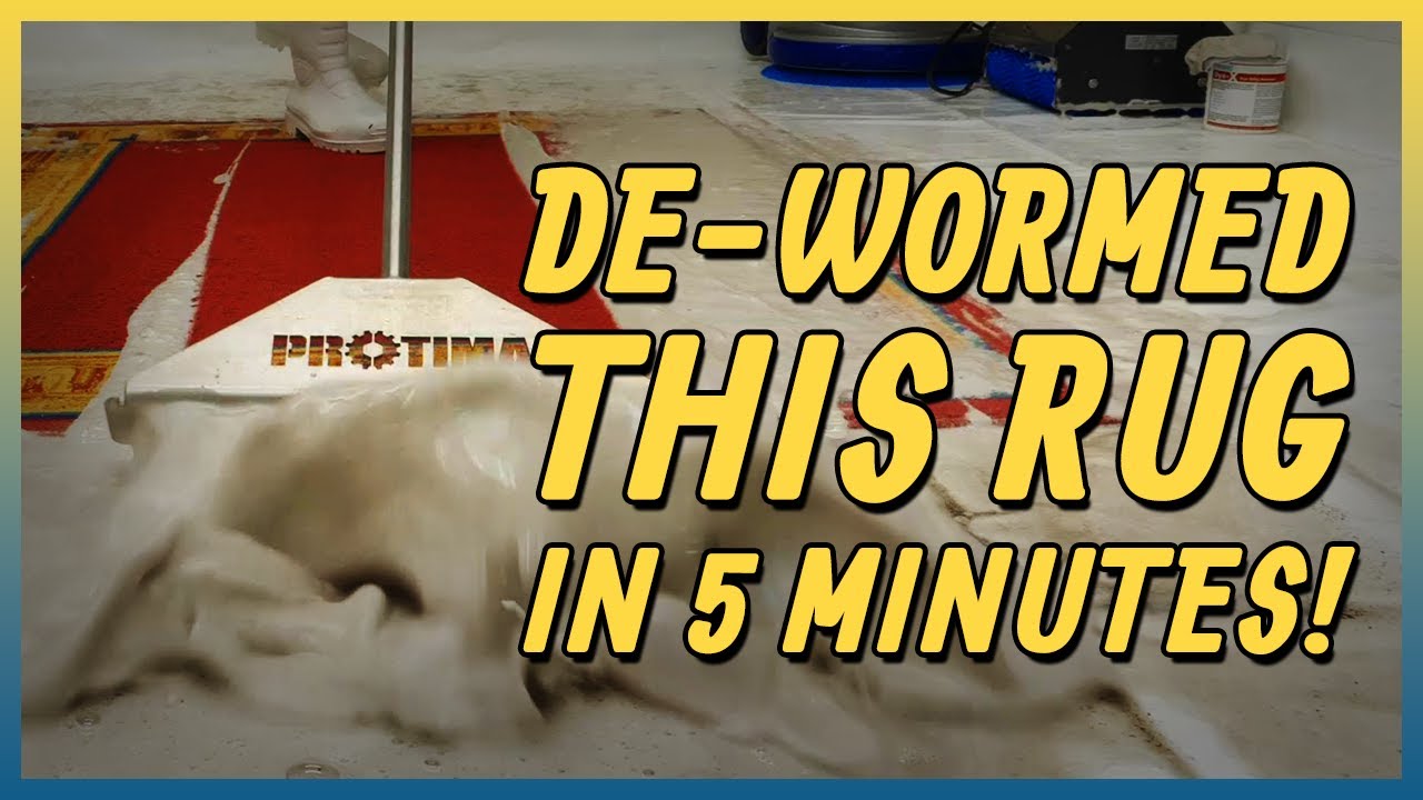 Curated visual reference: Gallery Detail: Unbelievably Dirty Rug Cleaning