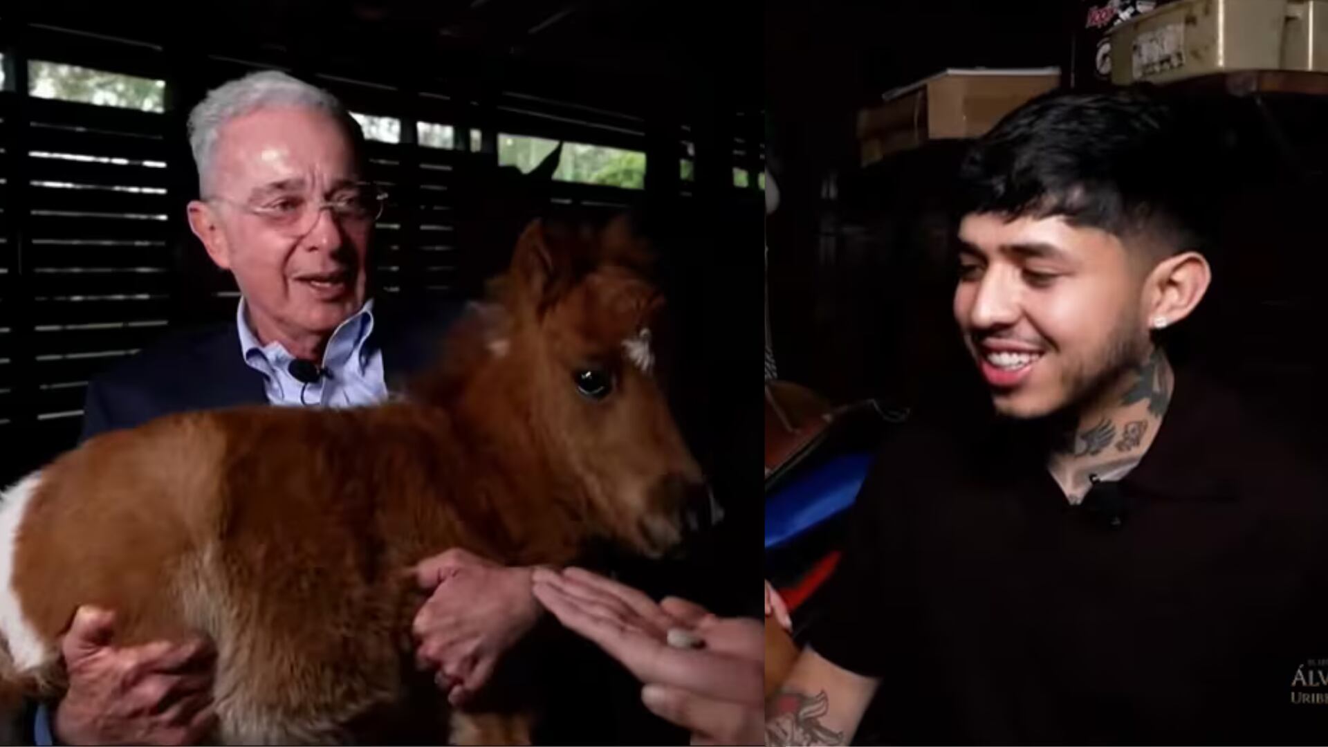Uribe le regaló un costoso pony a Westol, pero le puso una dura ...
