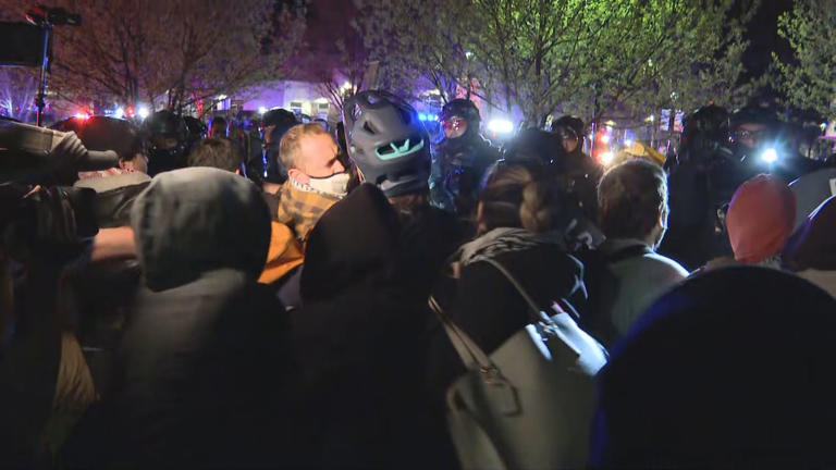 Protestors sue Calgary police, U of C and city over 2024 pro ...