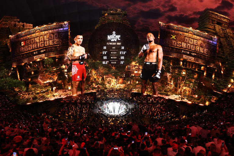 Photos: Best imagery from inside Sphere at UFC 306