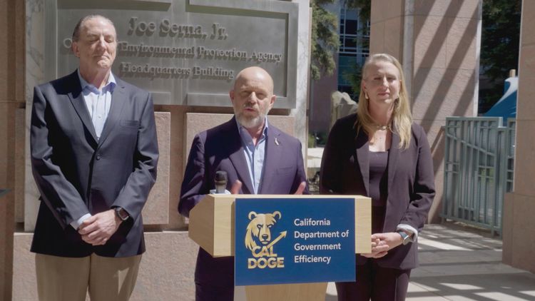 Governor candidate proposes 'Cal DOGE' cuts to state's energy ...