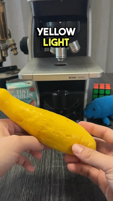 This video has no yellow and the microscope reveal explains why