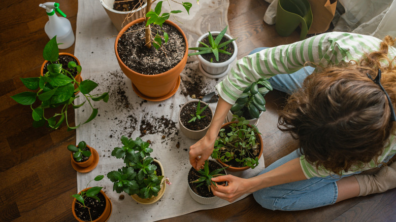 Goodbye traditional planters — there's a vintage kitchen find you can ...