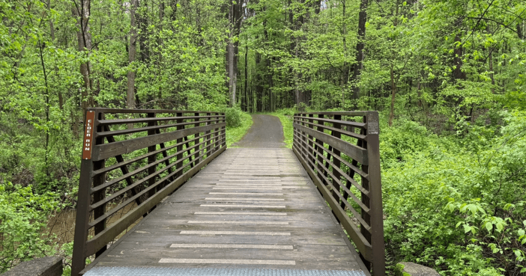 A bridge over a river leading into the forest at Maurice K. Goddard State Park in Pennsylvania.