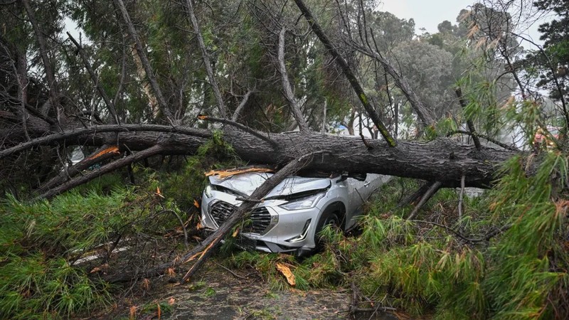 Cape of storms: Thousands left destitute by devastating weather