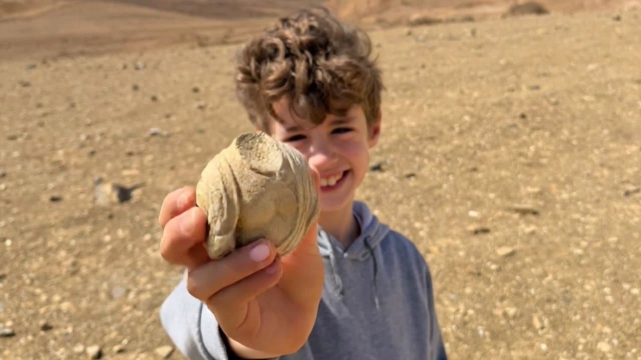Eight-year-old boy visiting Ramon Crater finds over 1,700-year-old ...