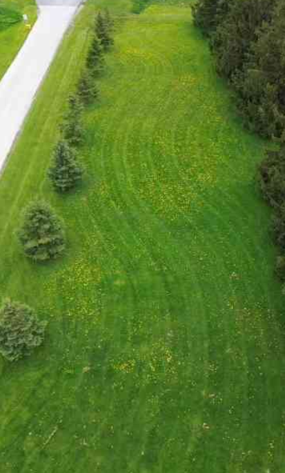 When the drone dies mid lawn care yard work reality check
