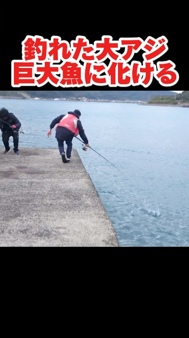 大アジが巨大魚に化ける海