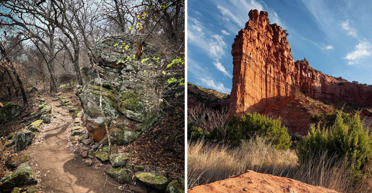 7 Texas nature trails that stay quiet even on weekends