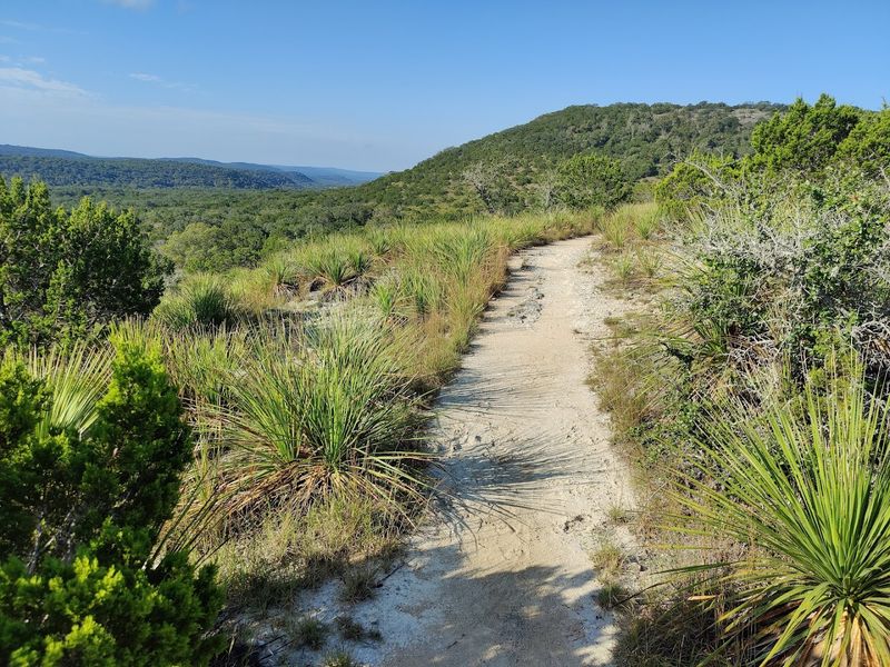 7 Texas nature trails that stay quiet even on weekends