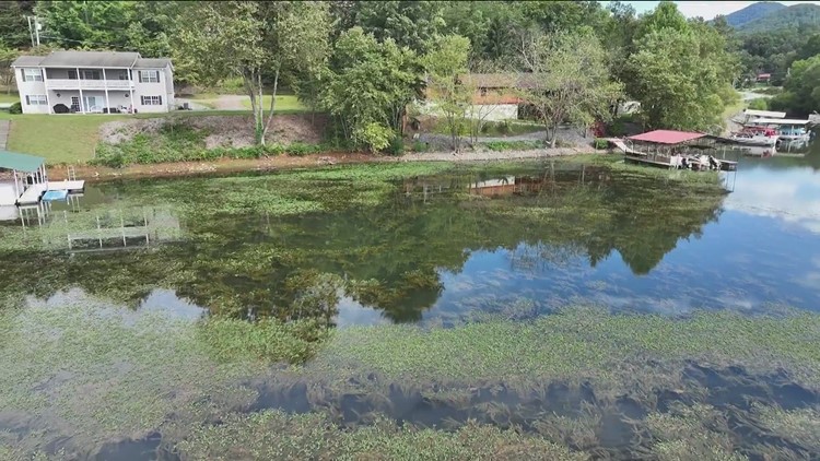 Woman's death under investigation by GBI after her body was found in ...