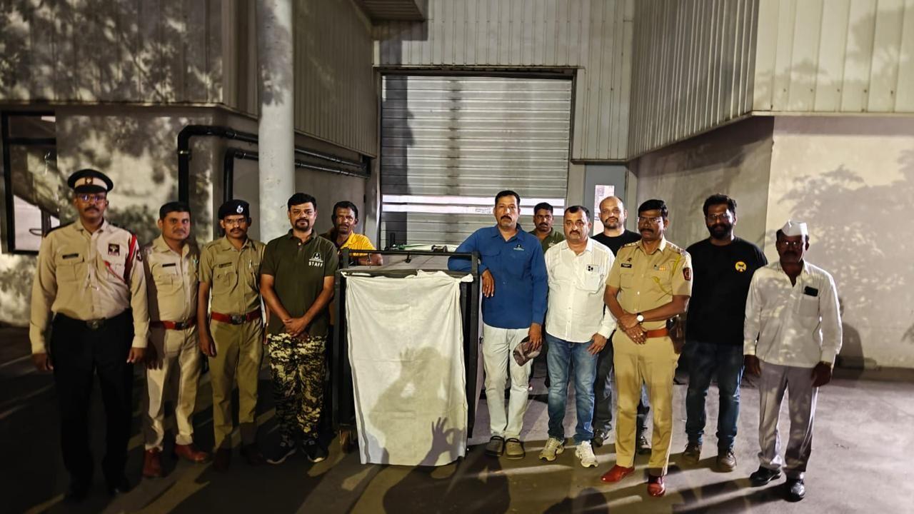 Forest teams capture leopard at Mercedes-Benz manufacturing unit in Pune