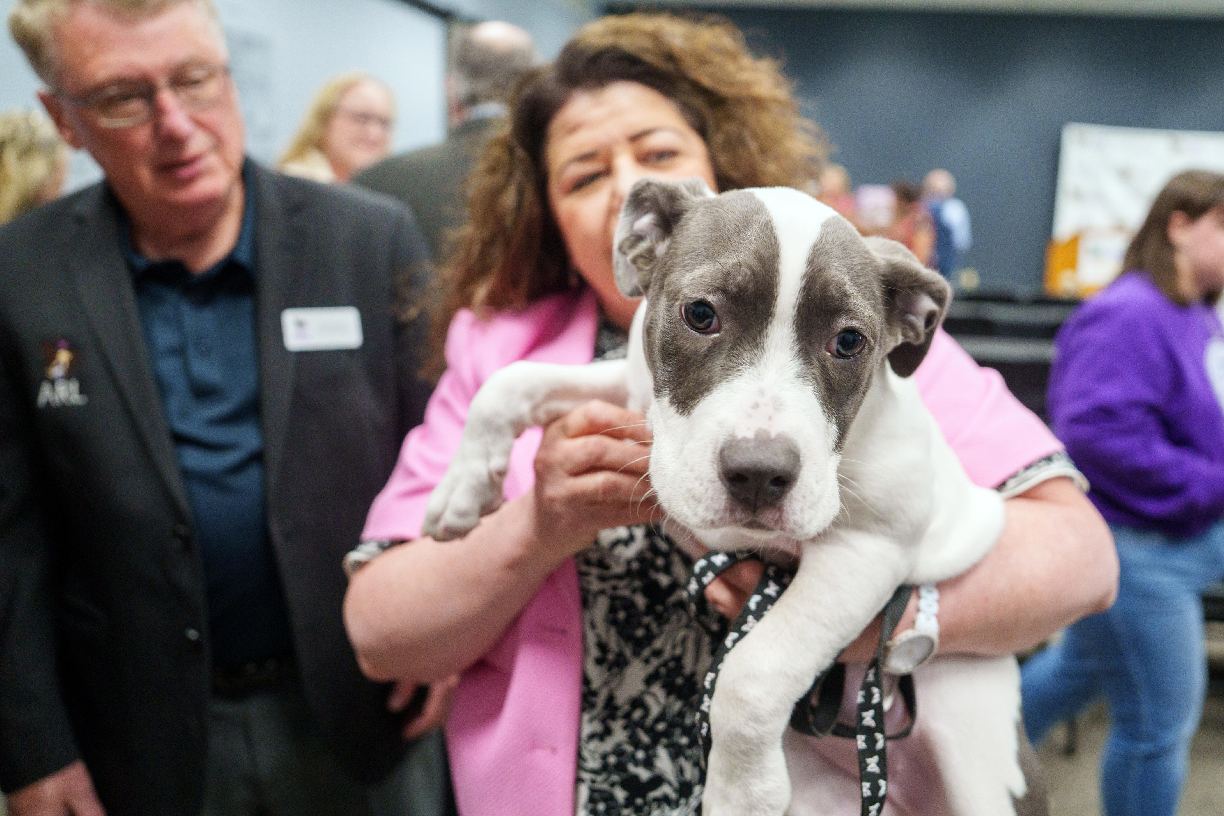 Kim Reynolds signs 'Ember's Law' increasing animal torture penalties