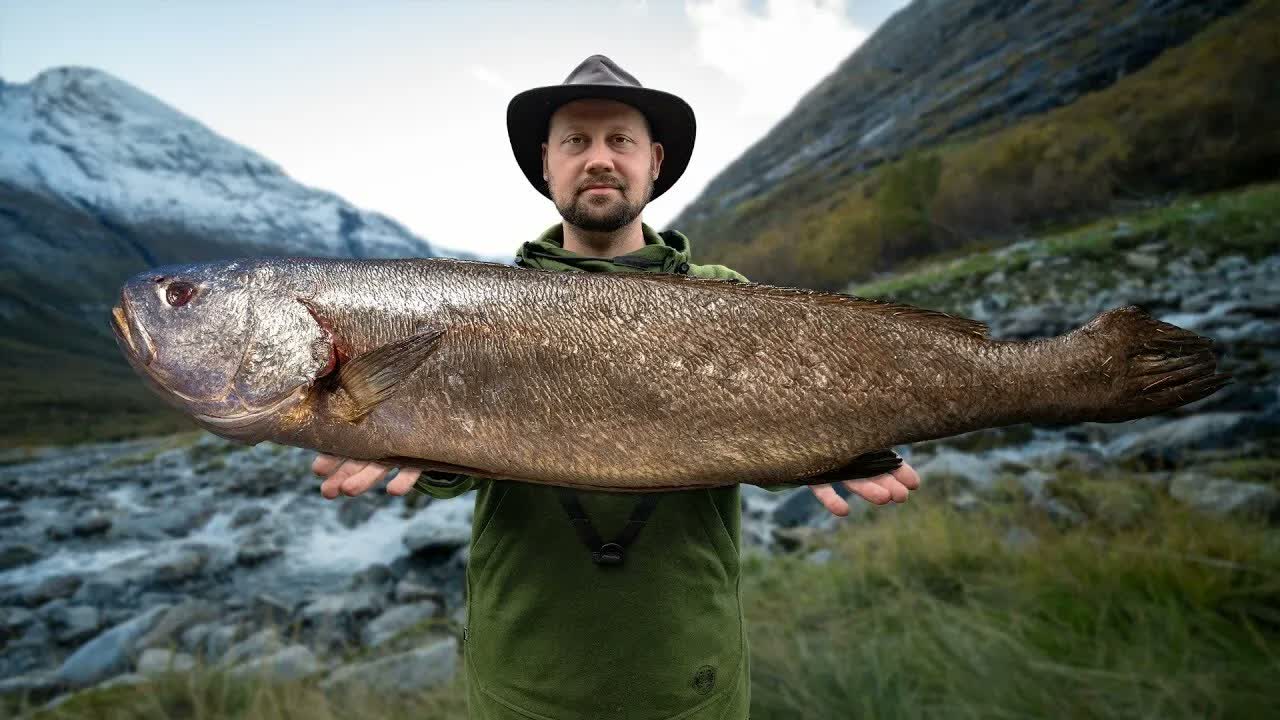 From the fjord into the fire - The wildest fish dishes made in the ...