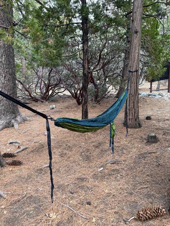 An outdoor hammock is suspended between trees in a forest setting