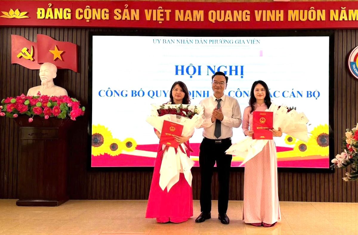 Điều động, bổ nhiệm hiệu trưởng, hiệu phó các trường tiểu học tại Hải Phòng