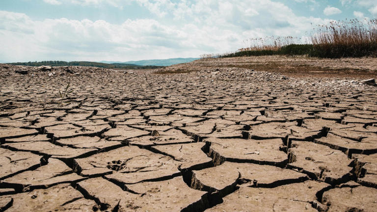 The worst spring drought in US history has burned 1.85 million acres ...